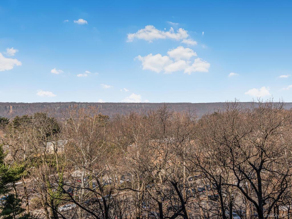 3935 Blackstone Avenue 8-A Bronx, NY 10471