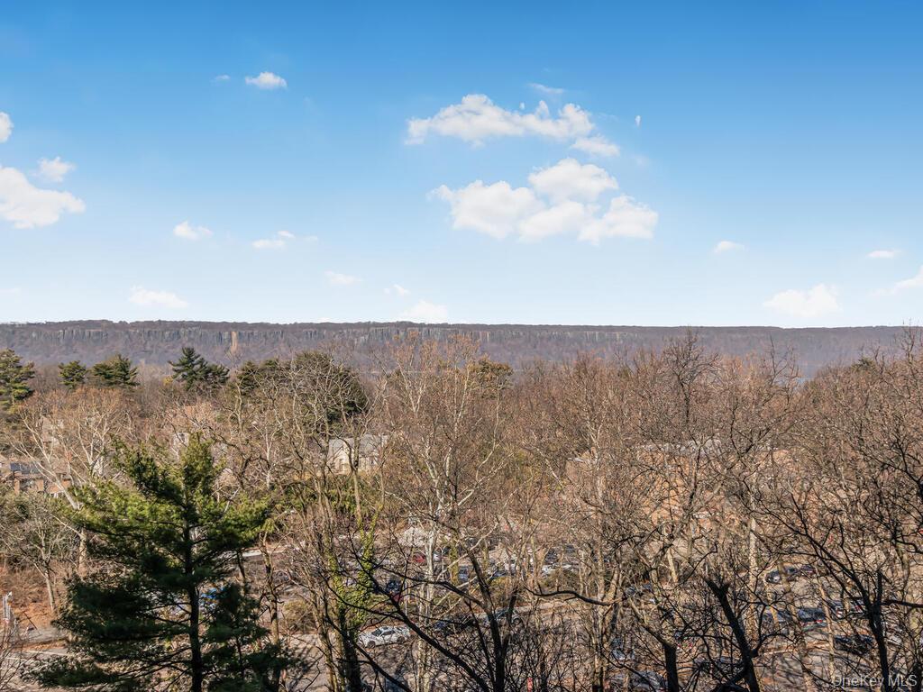 3935 Blackstone Avenue 8-A Bronx, NY 10471