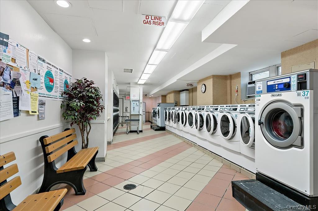 880 Boynton Avenue 13-A Bronx, NY 10473