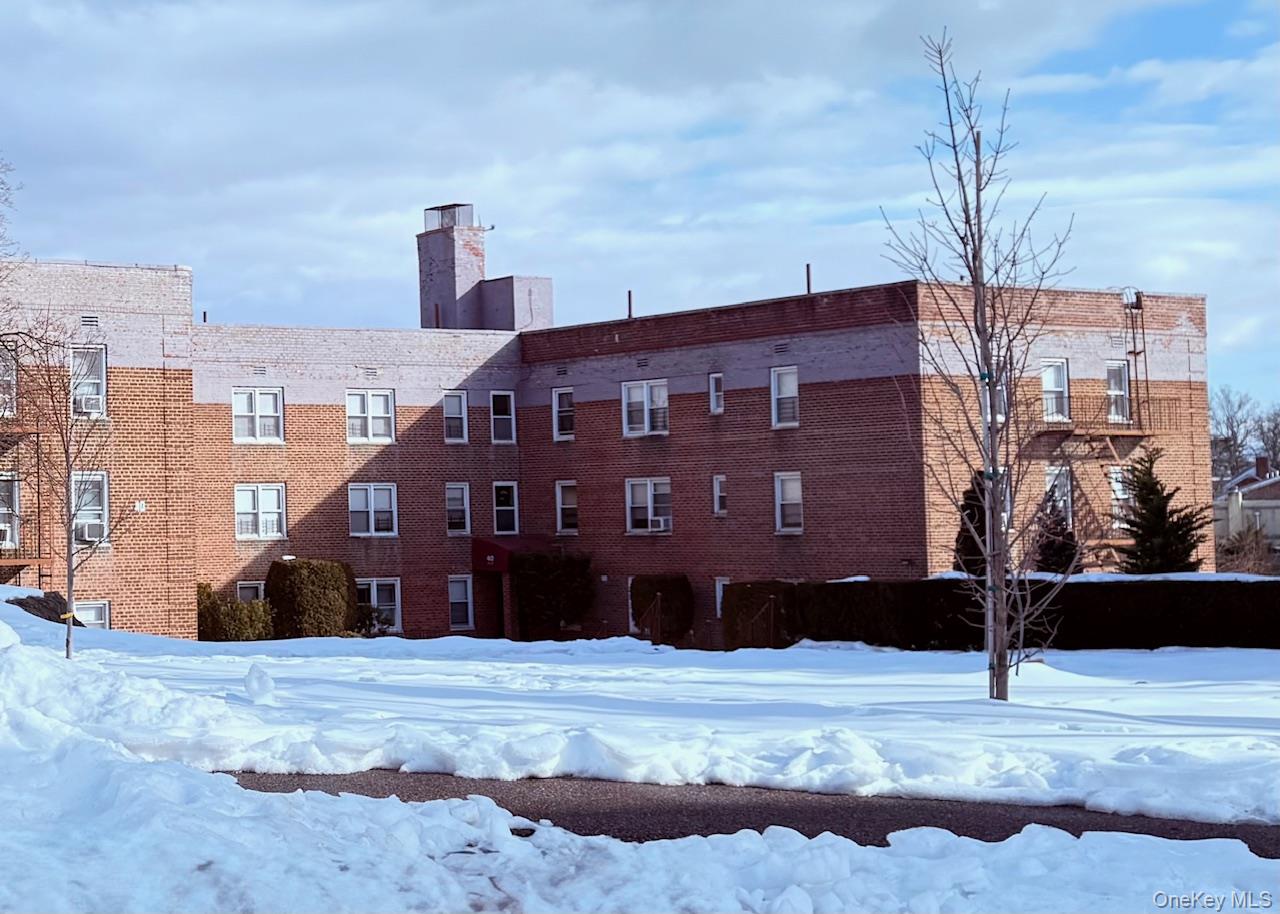 40 Davenport Avenue 1-L New Rochelle New Rochelle, NY 10805