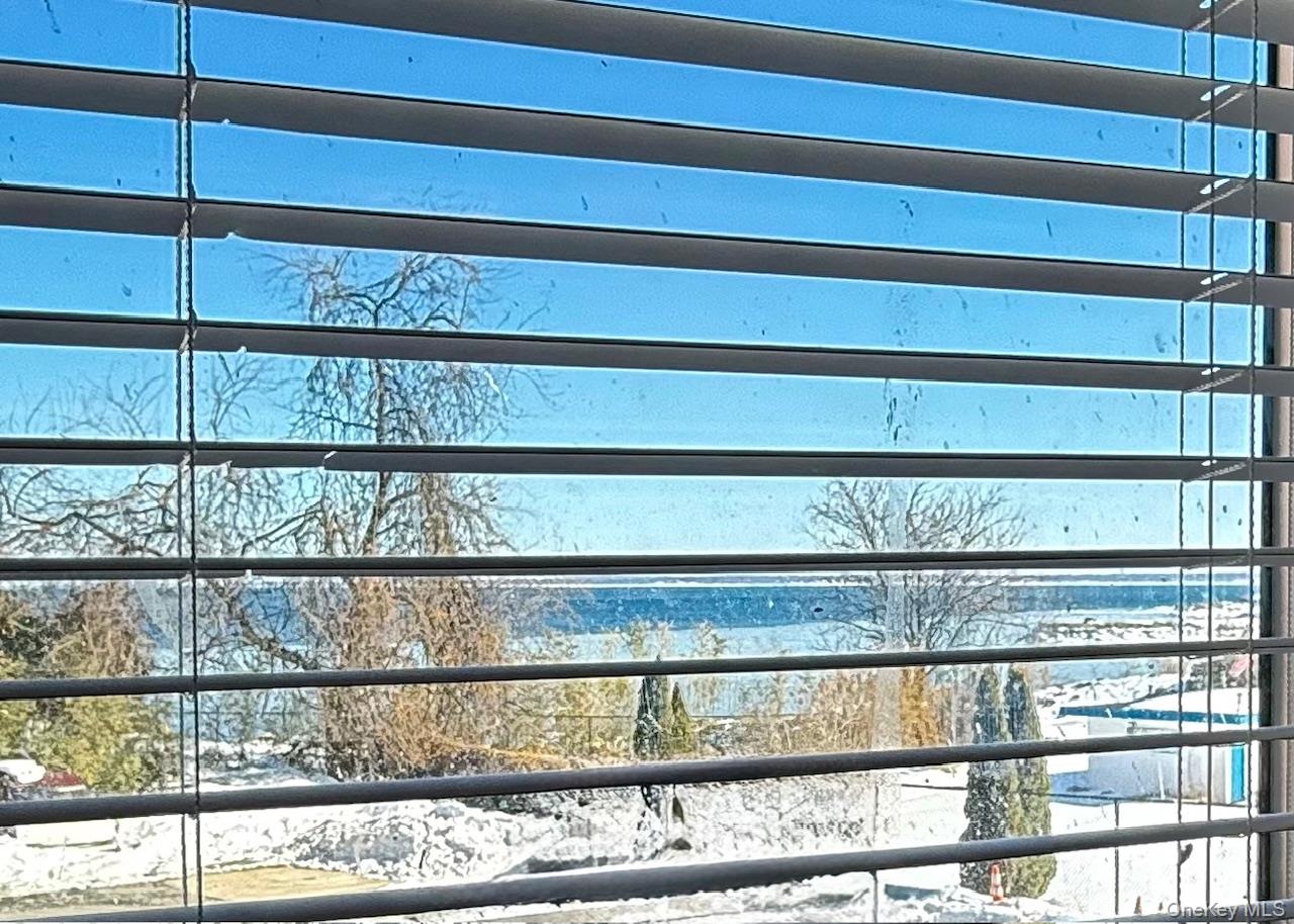 40 Davenport Avenue 1-L New Rochelle New Rochelle, NY 10805