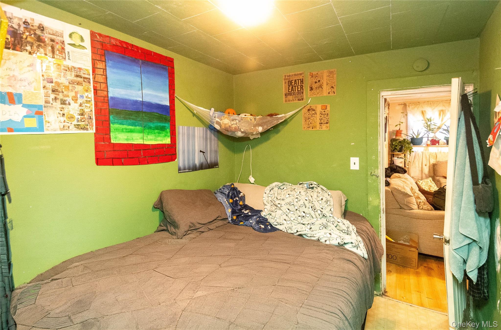 46 Hasbrouck Street Out of NYC Newburgh, NY 12550