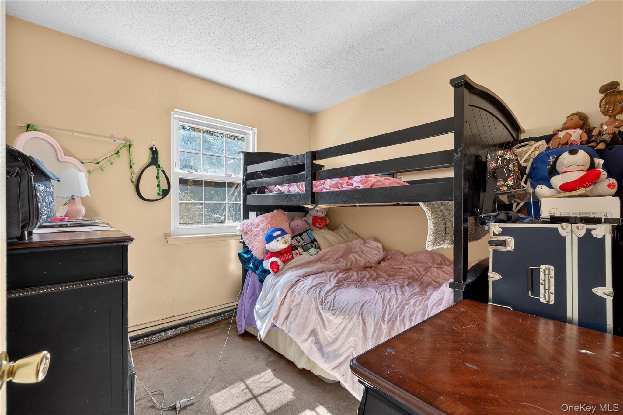 379 Washington Avenue Roosevelt Roosevelt, NY 11575