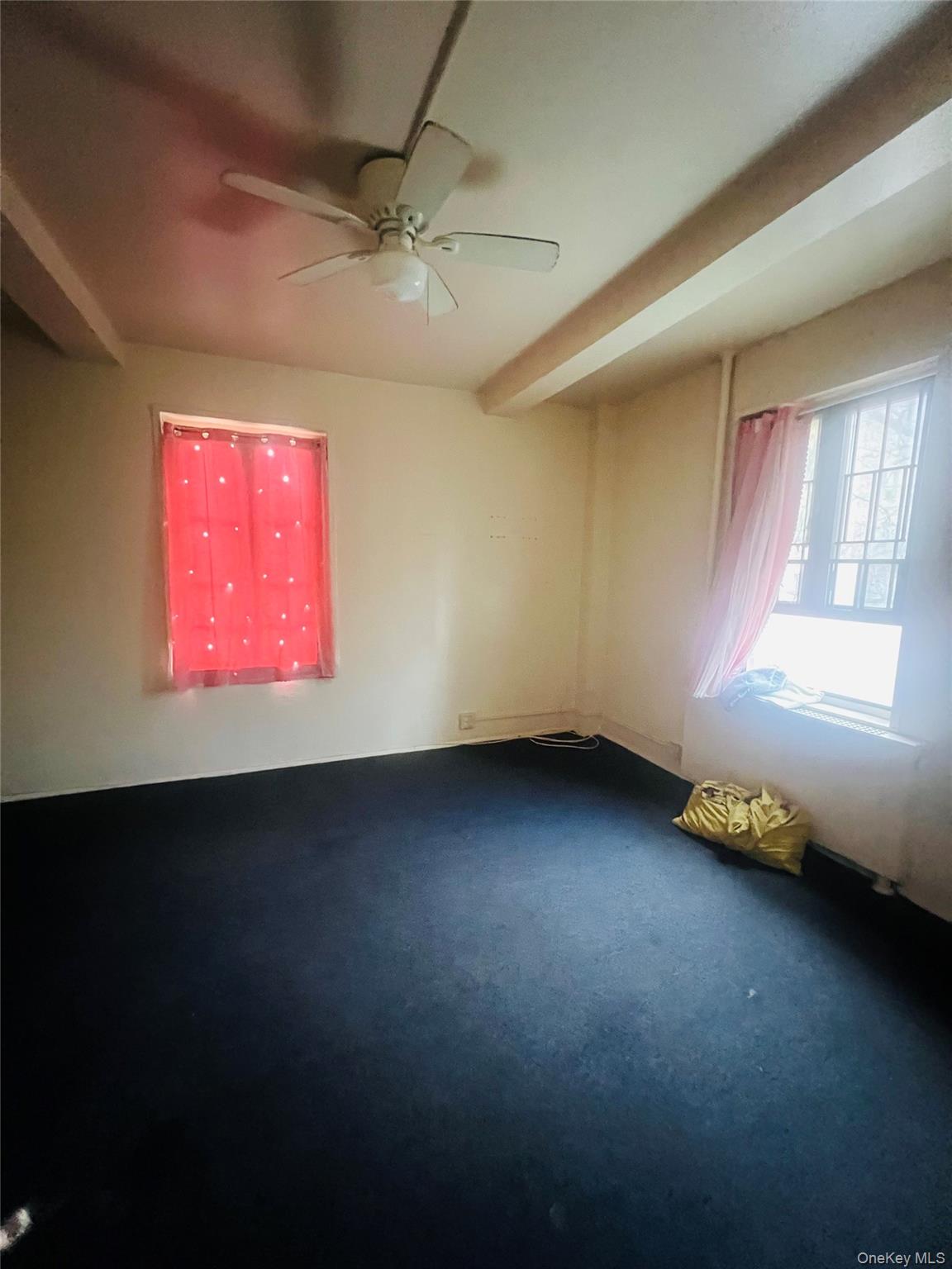1651 Metropolitan Avenue 5-E Bronx, NY 10462