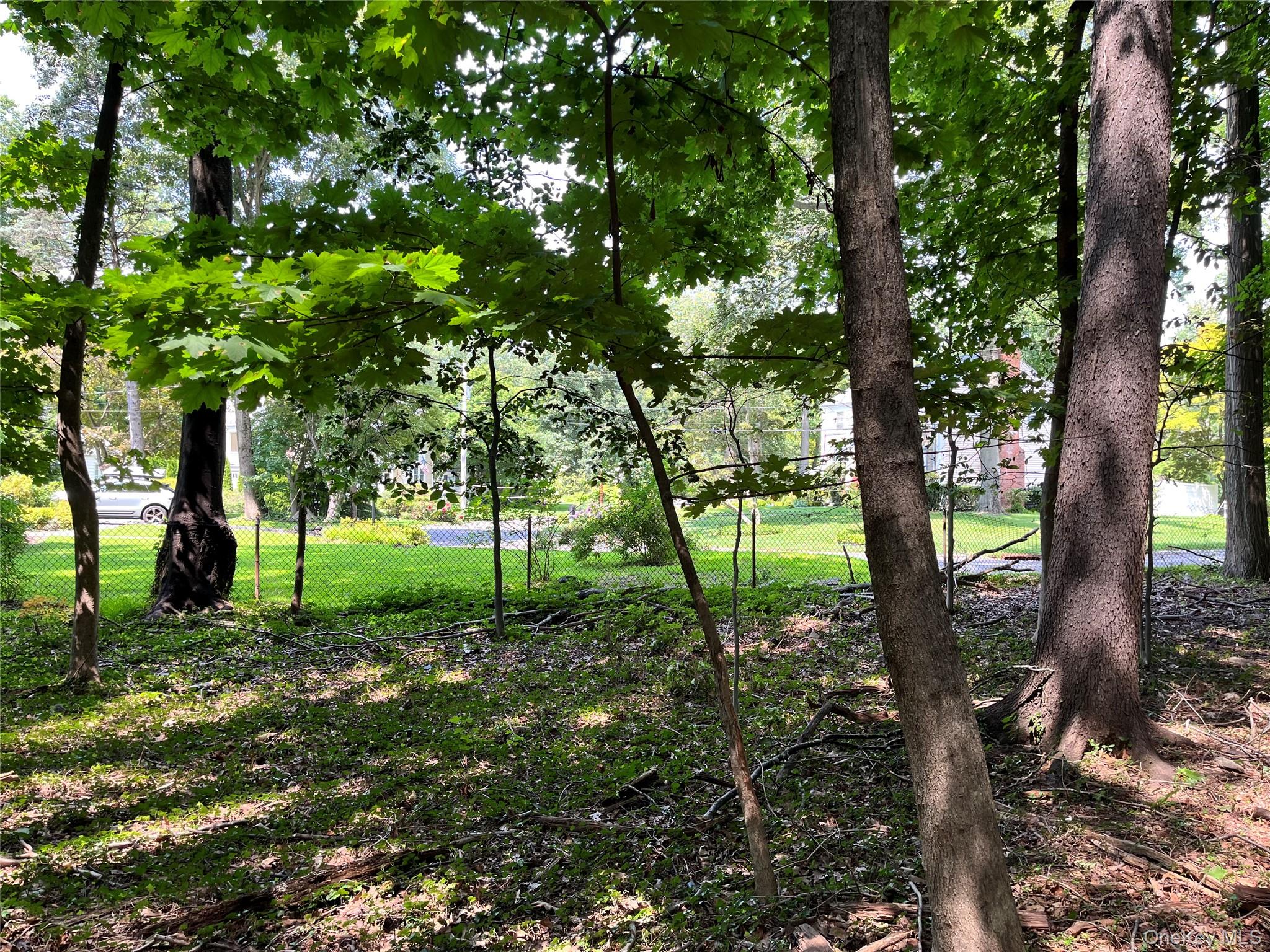 Forest Avenue, New Rochelle, NY 10801