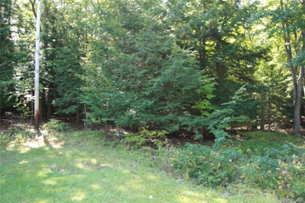 Lot 10, Overbrook Road Out of NYC Dover NY 12522